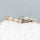 'Delphina' Crystal Opal Earrings 14ct Gold