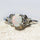 'Maeve' White Opal Ring Silver